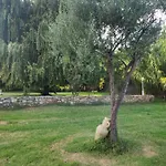 Palazzi